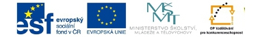 Rovn pleitosti ve vzdlvn v kraji Moravskoslezskm